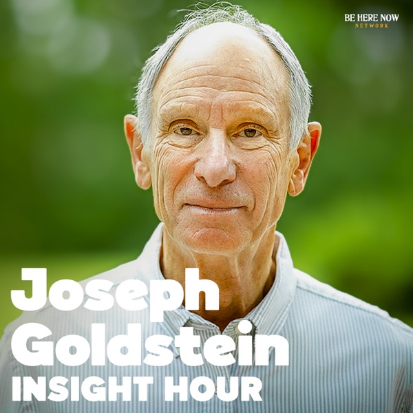 Insight Hour with Joseph Goldstein cover art