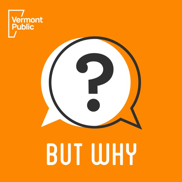 But Why: A Podcast for Curious Kids cover art