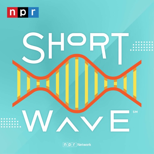 Short Wave cover art