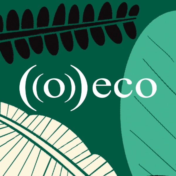 O Eco | Jornalismo Ambiental cover art