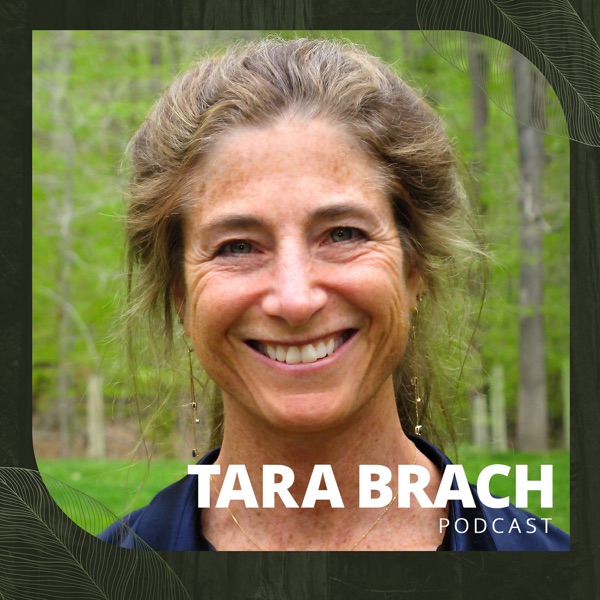 Tara Brach cover art
