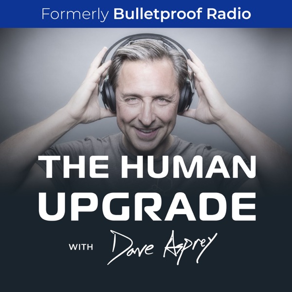 The Human Upgrade cover art
